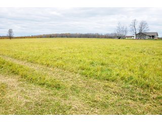 Property photo 86 - REAL ESTATE AUCTION - 1,428+/- ACRES OFFERED IN 10 TRACTS IN PRICE CO., WI
